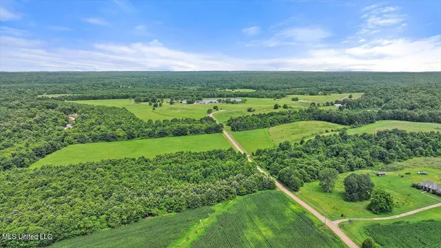 $1,850,000 | 499 Breakwater Drive, Benton, MS 39039