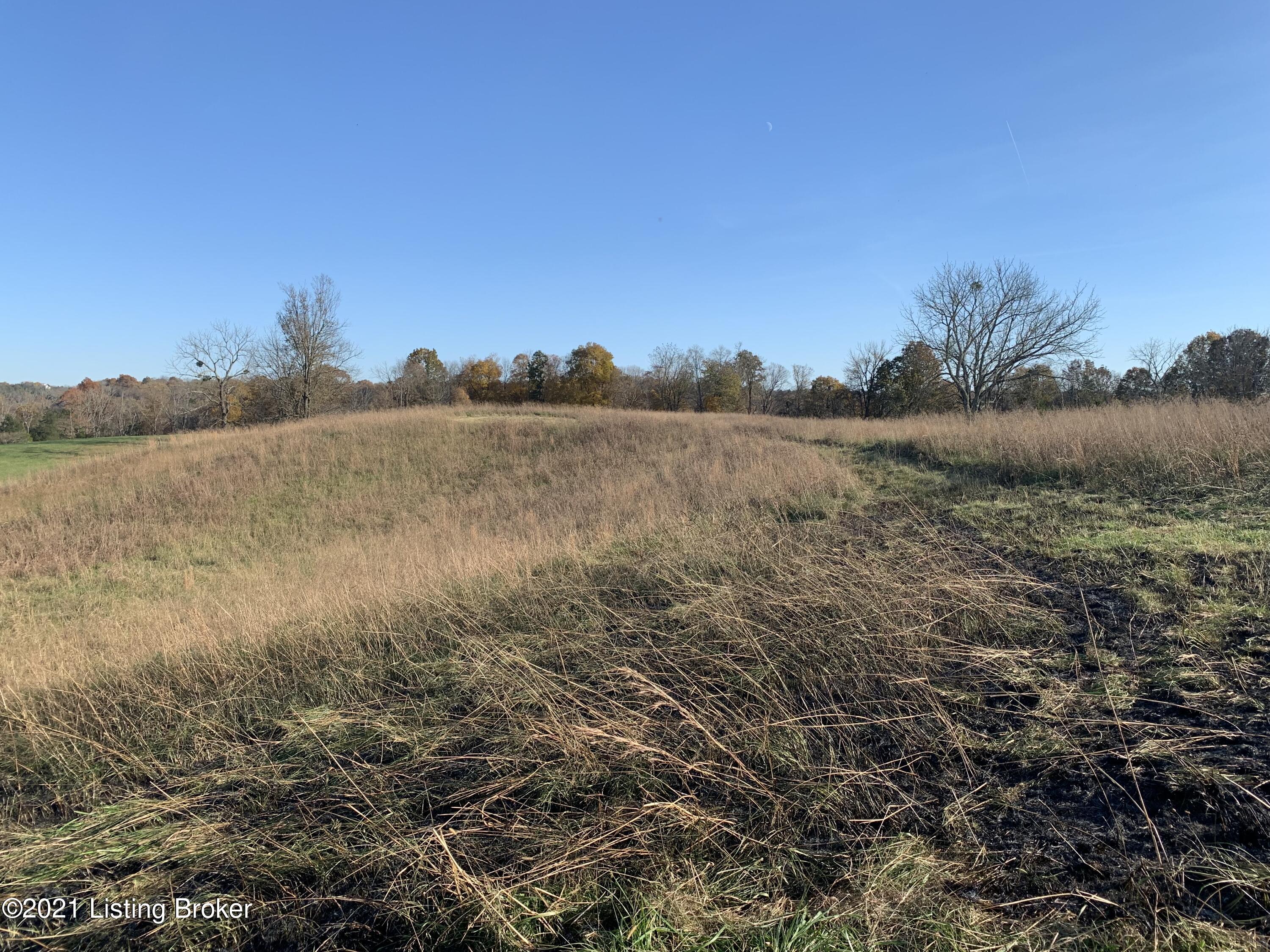 2859 Short Road Salvisa, KY 40372 - Photo 17 of 17 Midview; facing back of property