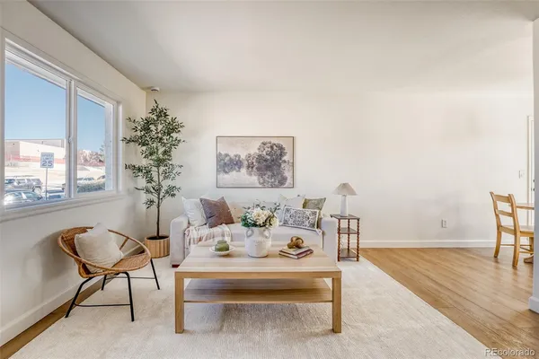 a living room with furniture and a potted plant