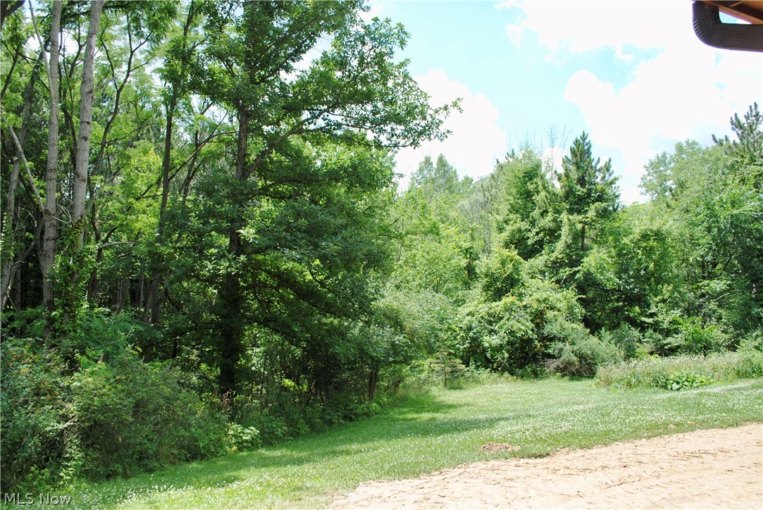 4210 Fenn Road Medina, OH 44256 - Photo 17 of 21 Gallery Image 17