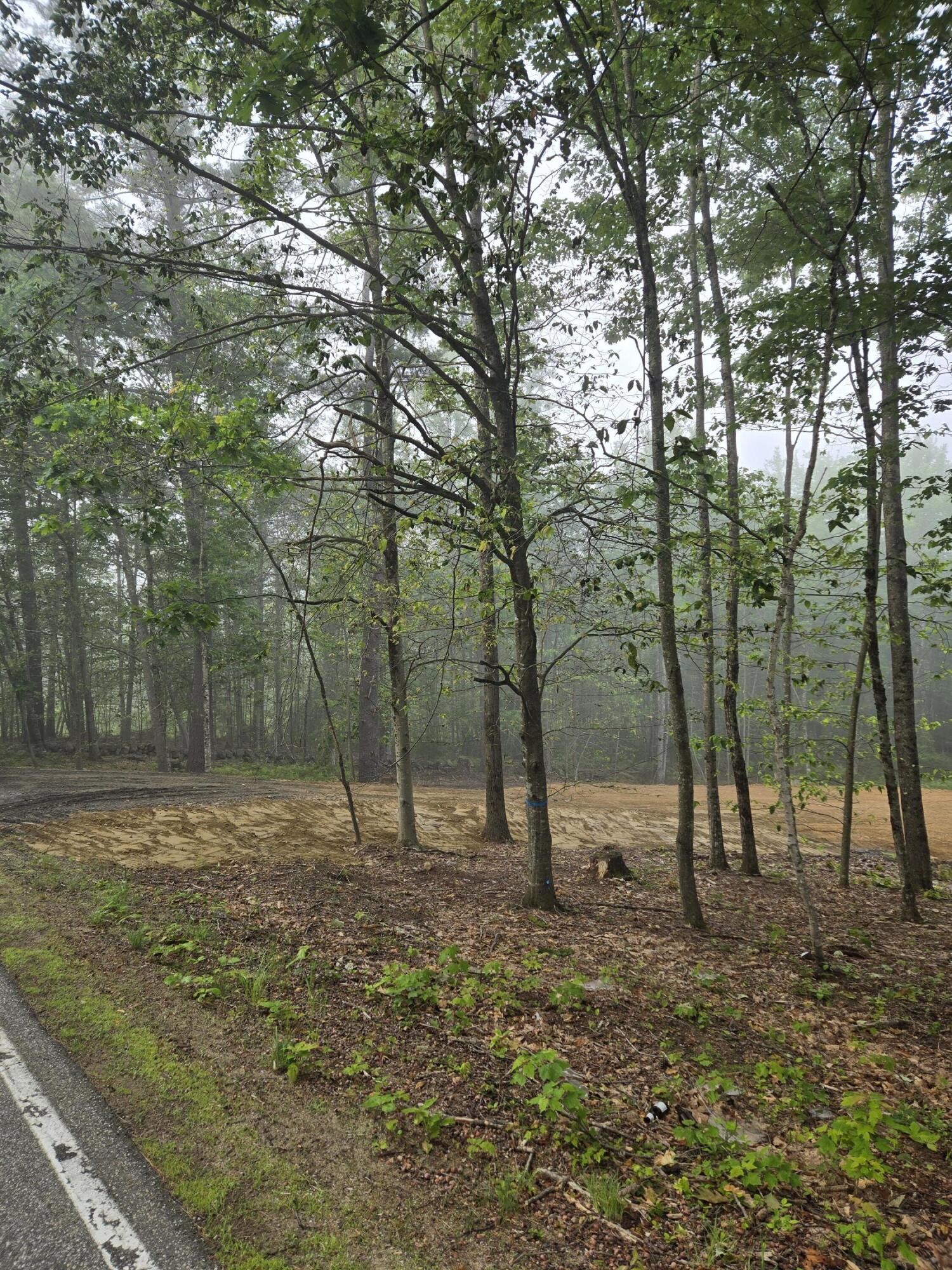 0 Lebanon Road North Berwick, ME 03906 - Photo 2 of 7 1000020974