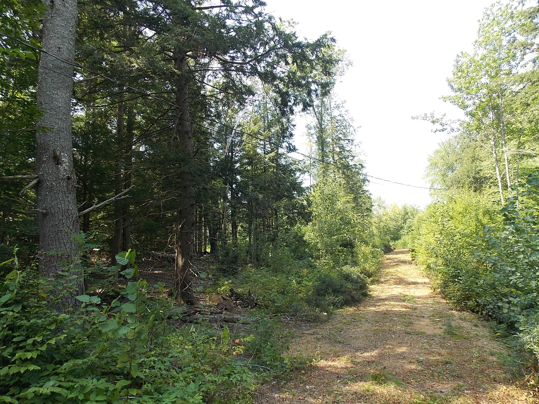 0 Walnut Brook Road Sanford, ME 04073 - Photo 19 of 19 DSCN9532