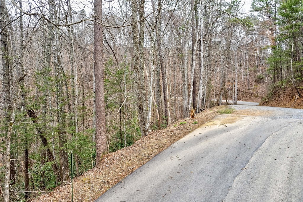 13 Sunset Road Sevierville, TN 37862 - Photo 6 of 27 Gallery Image 6