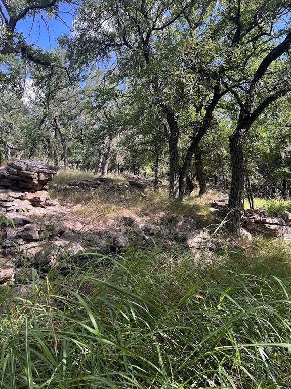 927 Cutter Circle May, TX 76857 - Photo 5 of 23 Wooded landscape featuring mature deciduous trees