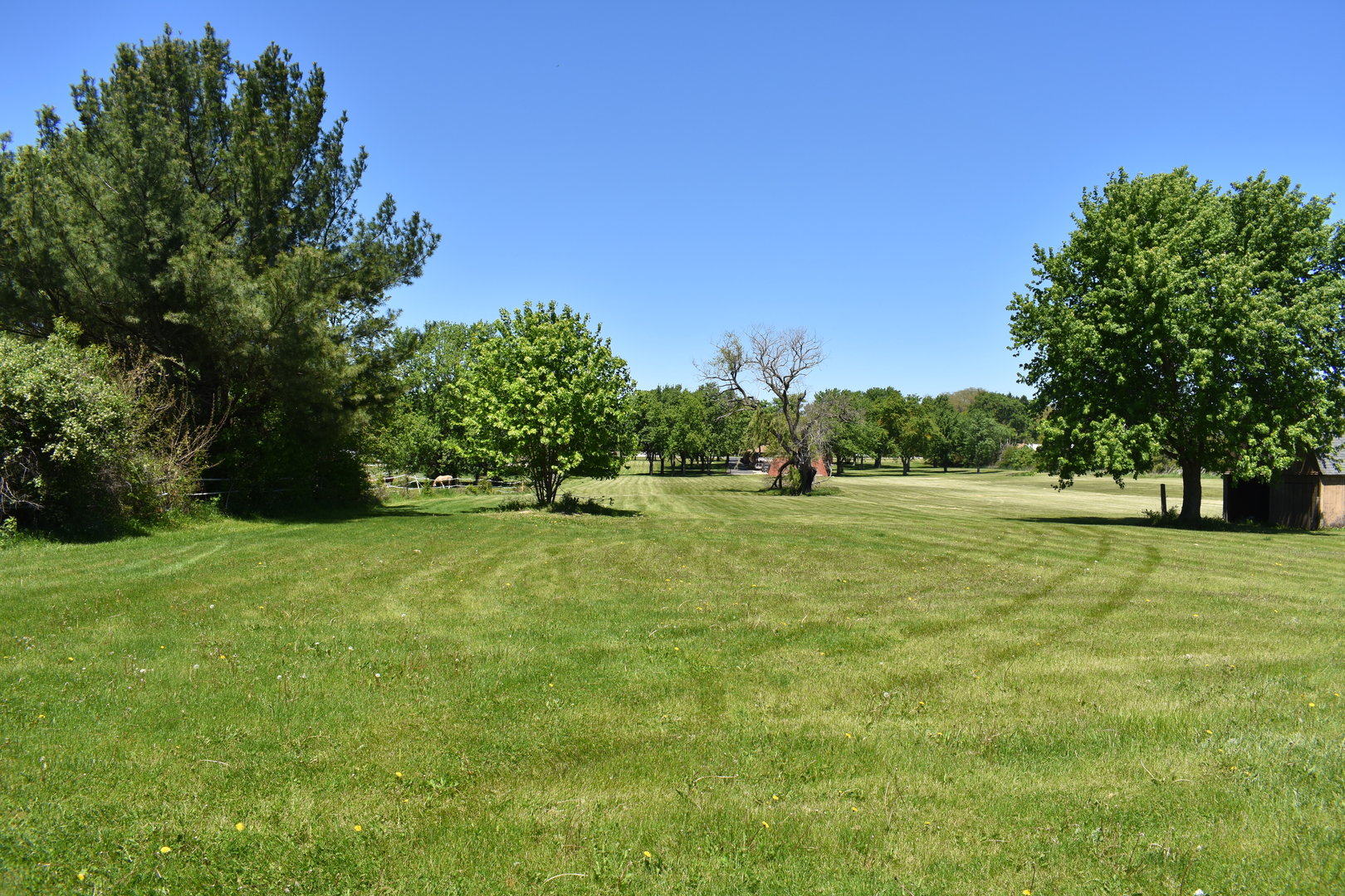 14119 West Maple Road Mokena, IL 60448 - Photo 4 of 6