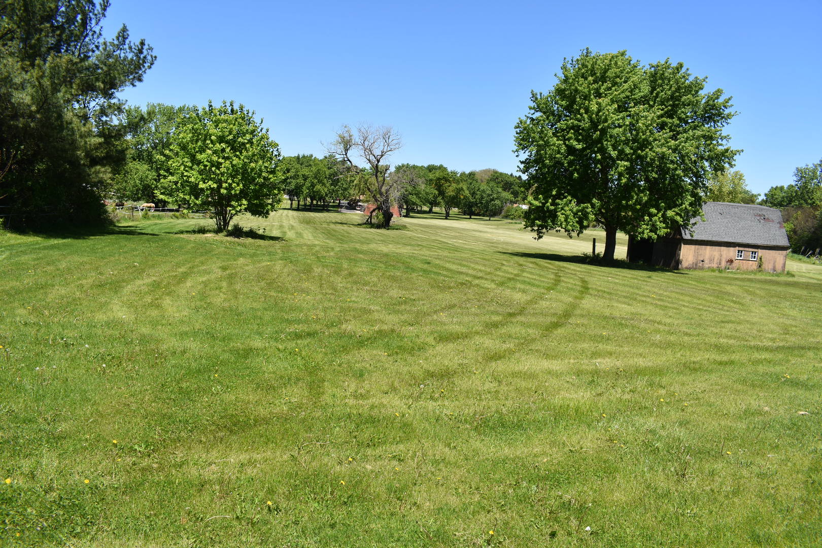 14119 West Maple Road Mokena, IL 60448 - Photo 5 of 6
