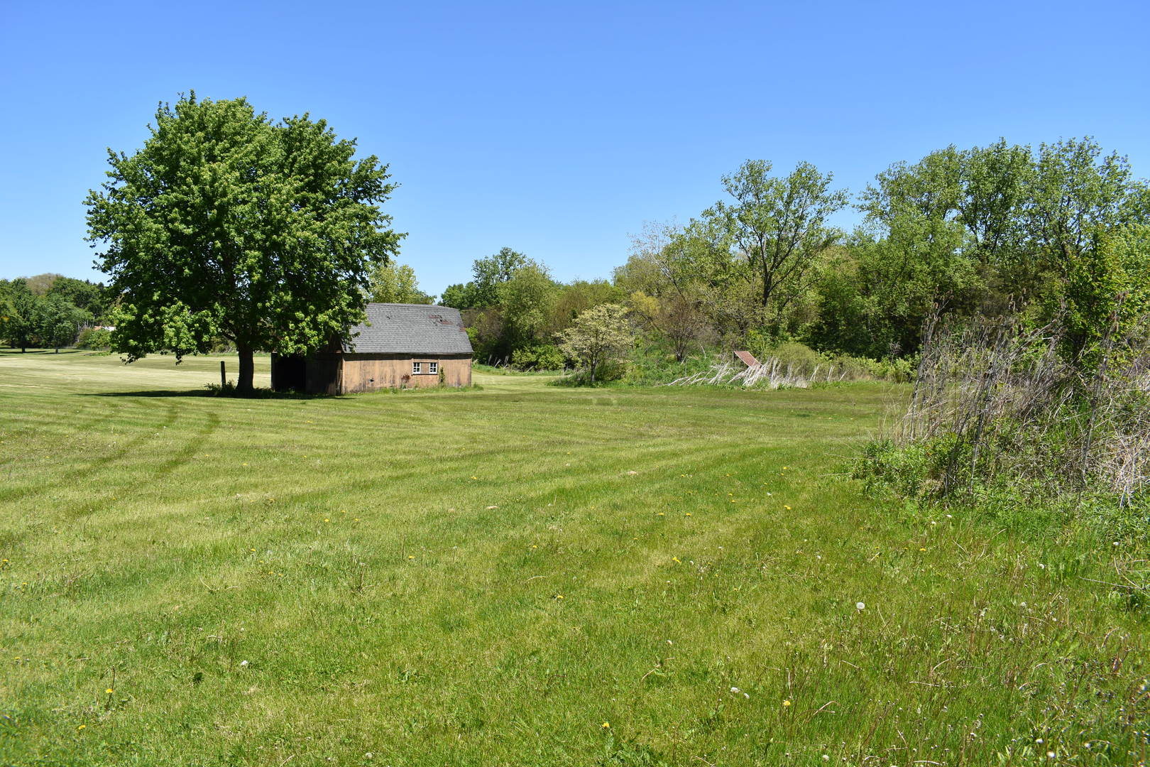14119 West Maple Road Mokena, IL 60448 - Photo 6 of 6