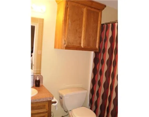 a bathroom with a toilet and a shower curtain