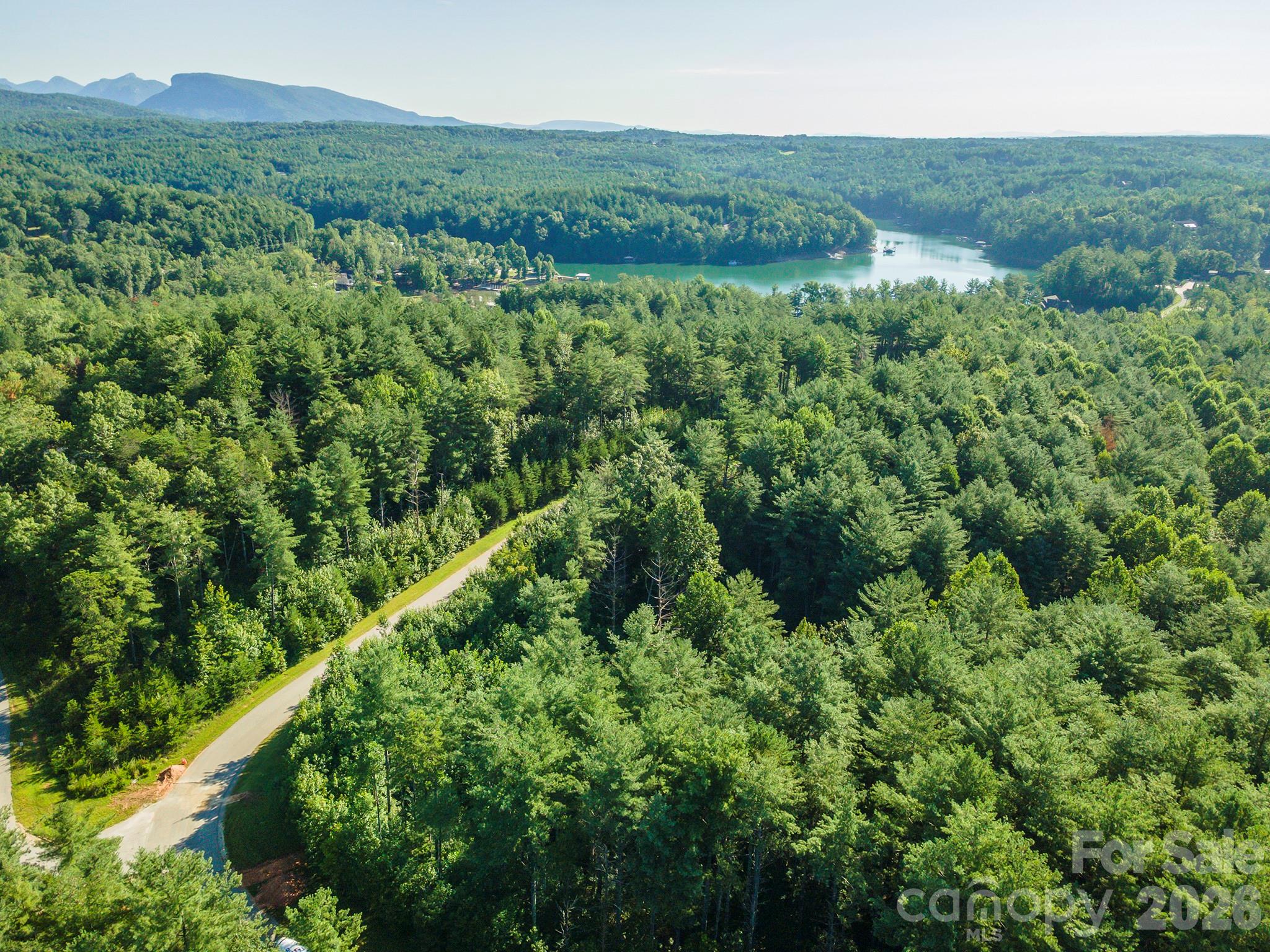 Lot 28 Peninsula Reserve Road Nebo, NC 28761 - Photo 12 of 36 Gallery Image 12