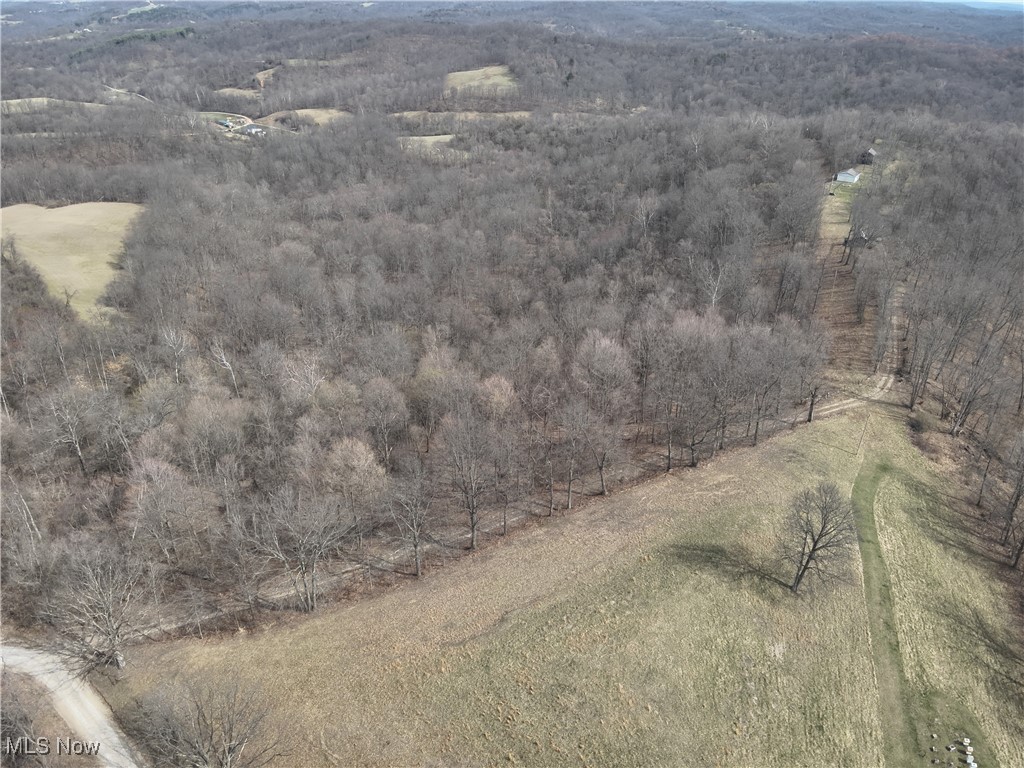 0 Wolfe Run Road Belleville, WV 26133 - Photo 37 of 38