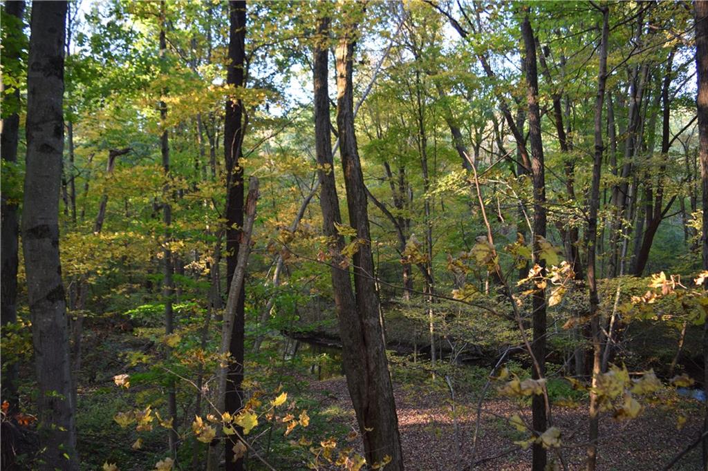 1255 Scrubgrass Road Mercer, PA 16137 - Photo 22 of 25 a view of forest