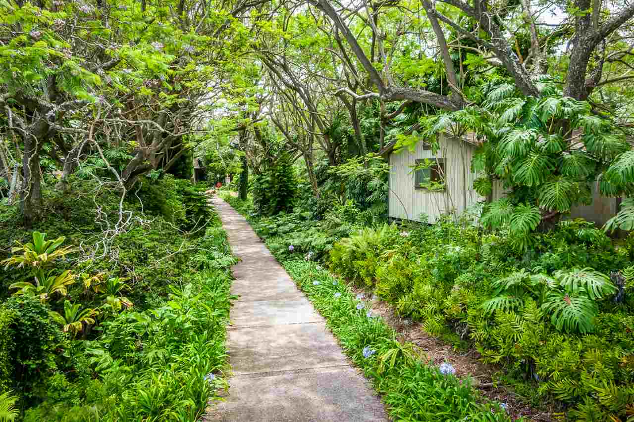 300 Kepa Road Kula, HI 96790 - Photo 14 of 30 a view of a garden with pathway