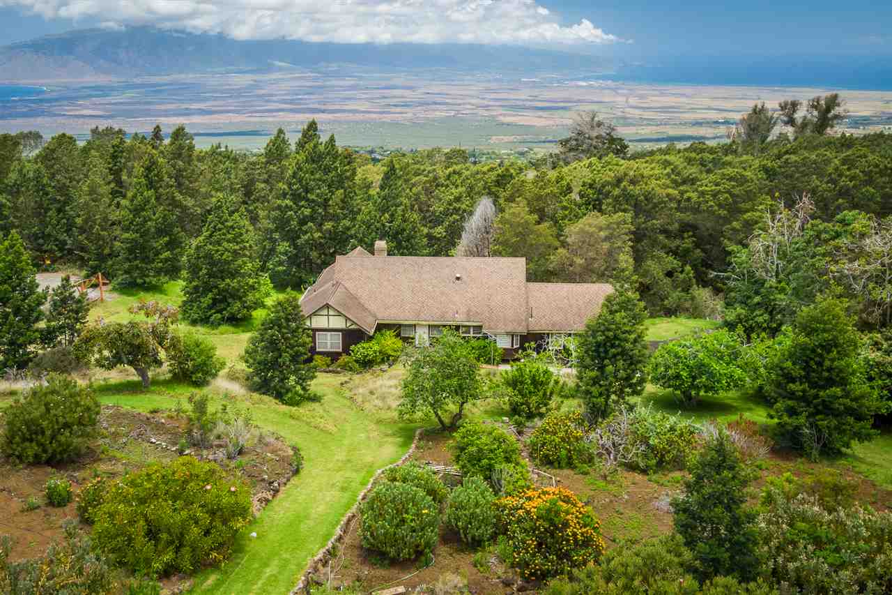 300 Kepa Road Kula, HI 96790 - Photo 15 of 30 a view of a garden with a building in the background
