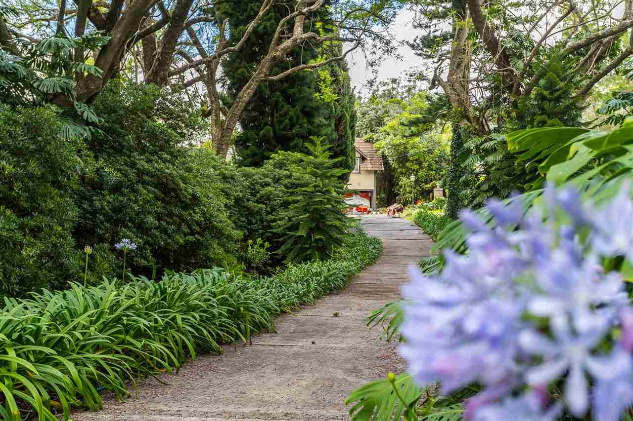 300 Kepa Road Kula, HI 96790 - Photo 16 of 30