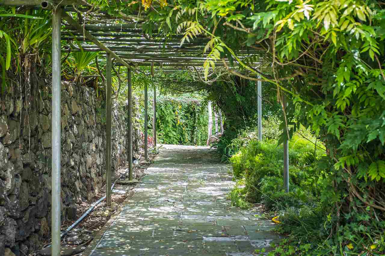 300 Kepa Road Kula, HI 96790 - Photo 22 of 30 a view of a garden