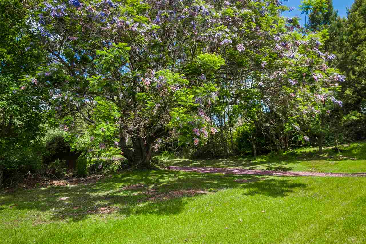 300 Kepa Road Kula, HI 96790 - Photo 24 of 30 a view of outdoor space with deck and yard
