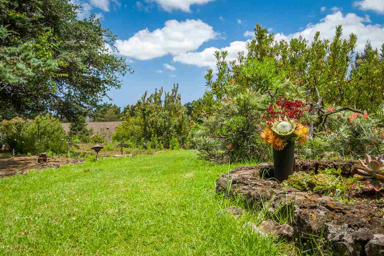 300 Kepa Road Kula, HI 96790 - Photo 29 of 30 a backyard of a house with lots of green space