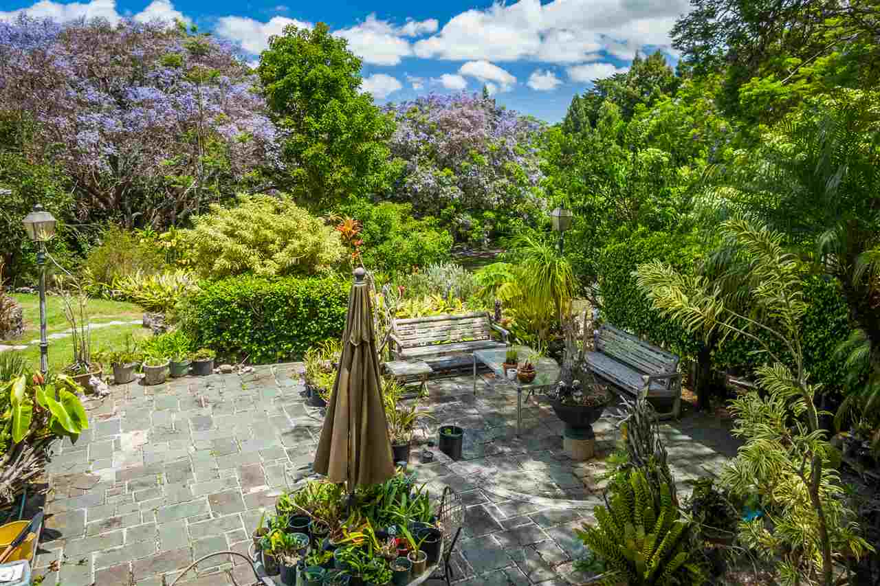 300 Kepa Road Kula, HI 96790 - Photo 10 of 30 a view of a yard with plants and large trees