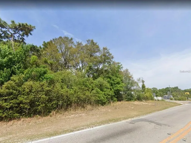 a view of a road with a garden