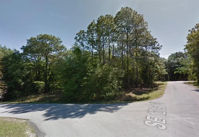 a view of backyard with green space