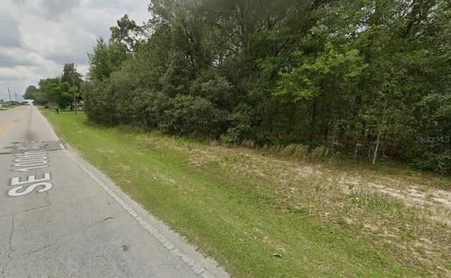 a view of a yard with a tree