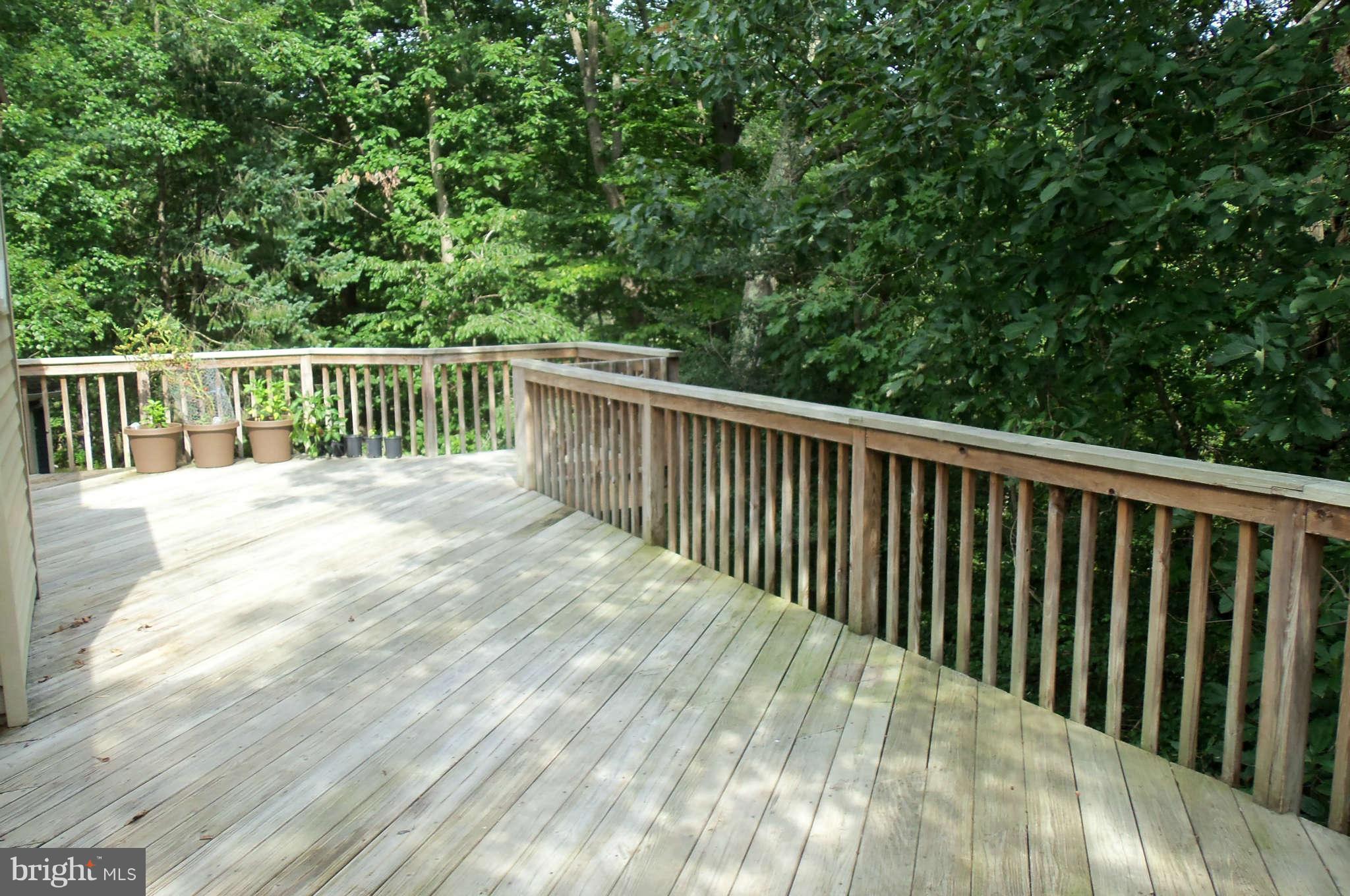 271 Silverleaf Court Arnold, MD 21012 - Photo 16 of 19 a balcony with trees in front of it