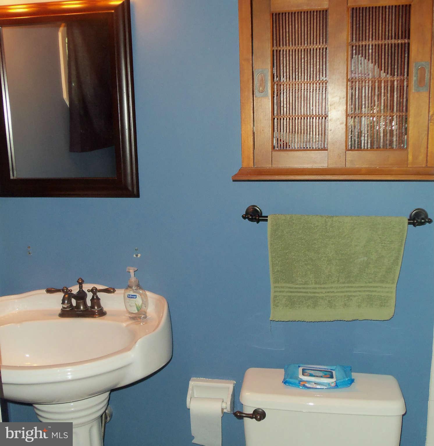 271 Silverleaf Court Arnold, MD 21012 - Photo 8 of 19 a bathroom with a sink and a toilet