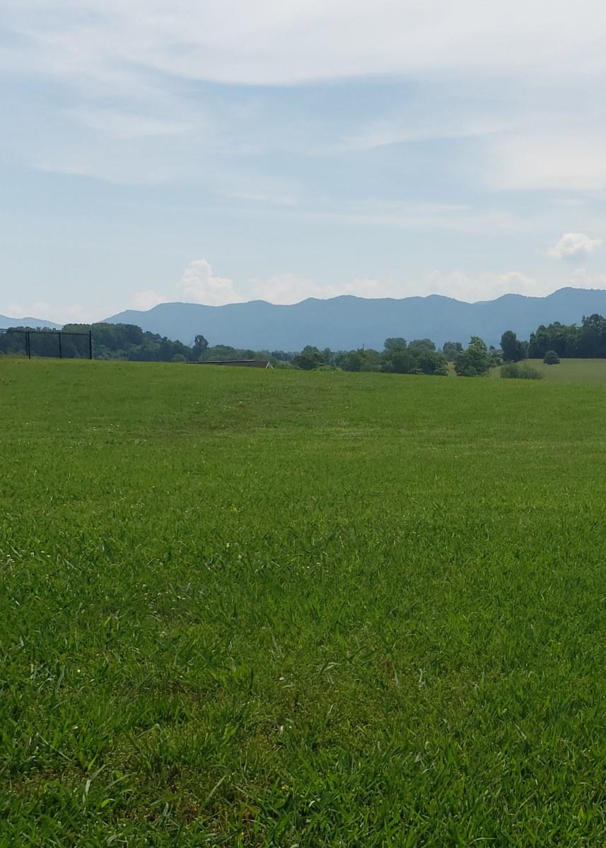 Tbd Ridgecrest Road Jonesborough, TN 37659 - Photo 1 of 4 Lot view from road