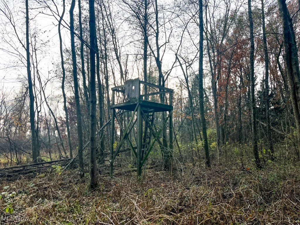 0 Harvey Circle Rittman, OH 44270 - Photo 22 of 35 View of undeveloped land