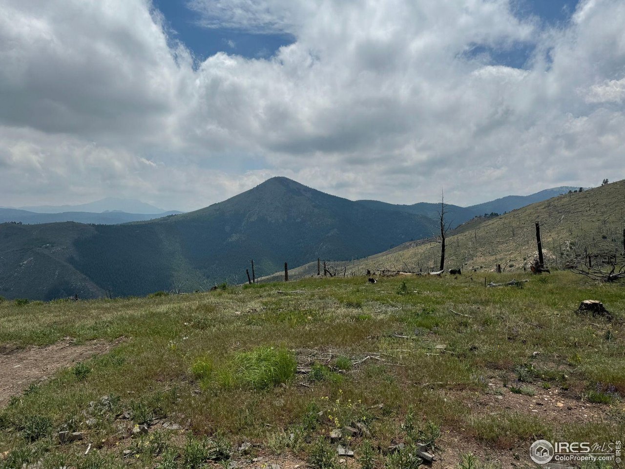 280 Rim Road Boulder, CO 80302 - Photo 11 of 29