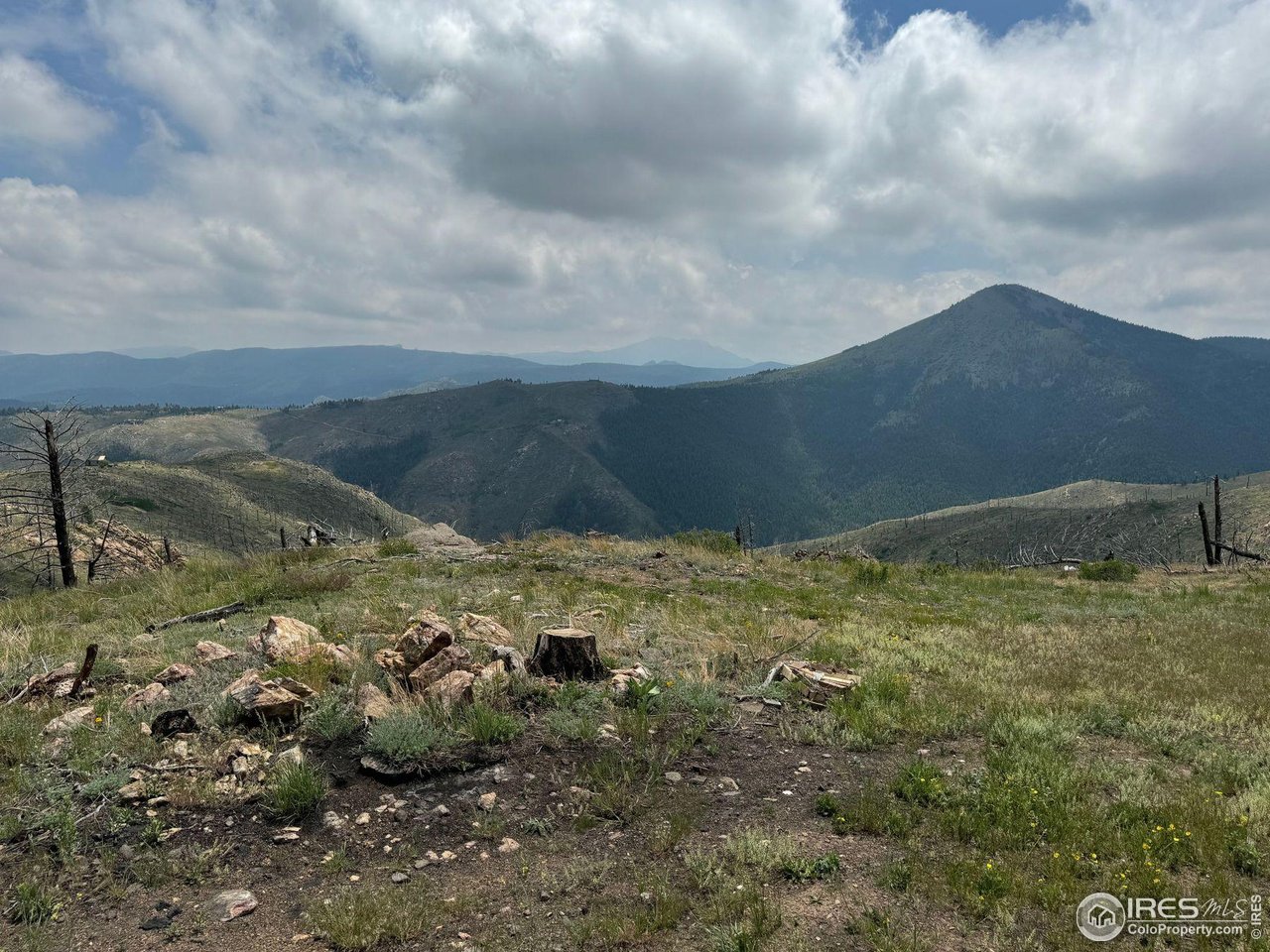 280 Rim Road Boulder, CO 80302 - Photo 12 of 29 a view of a field