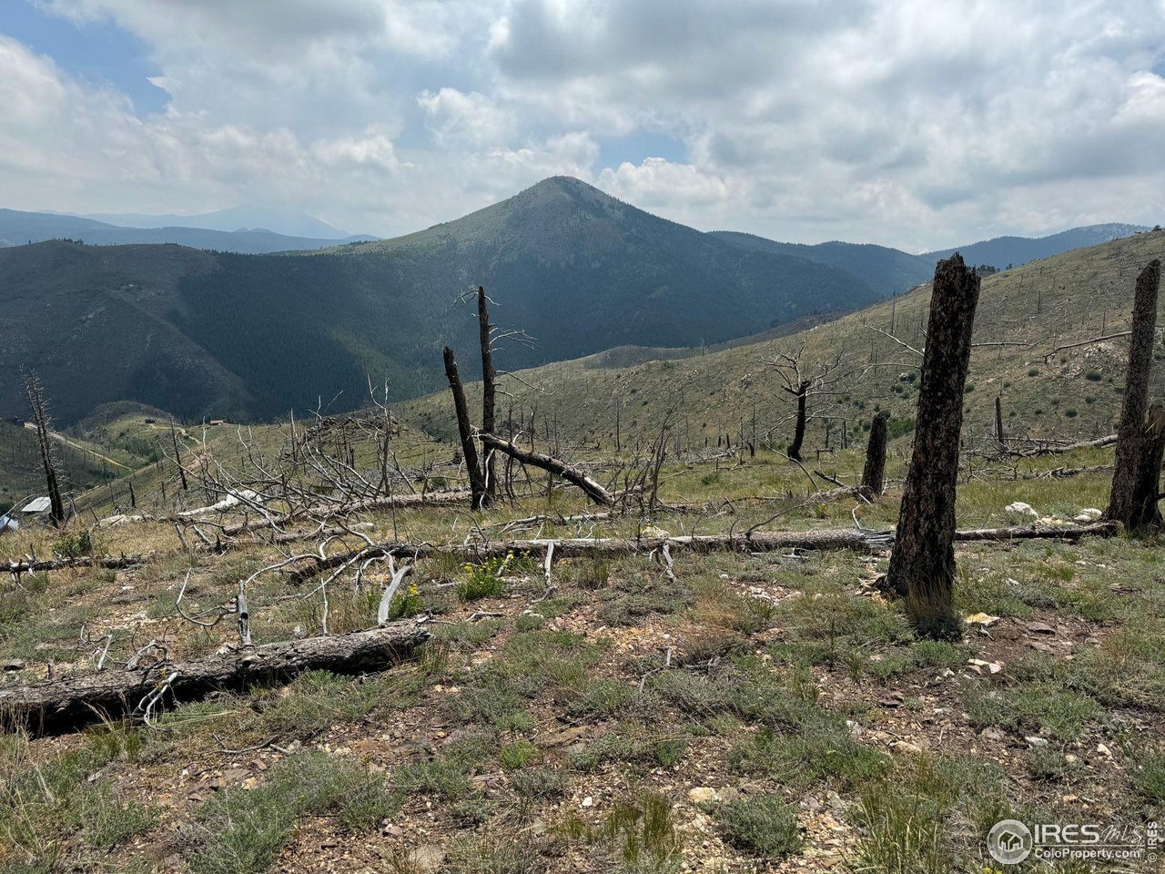 280 Rim Road Boulder, CO 80302 - Photo 15 of 29 a view of a dry yard with wooden fence