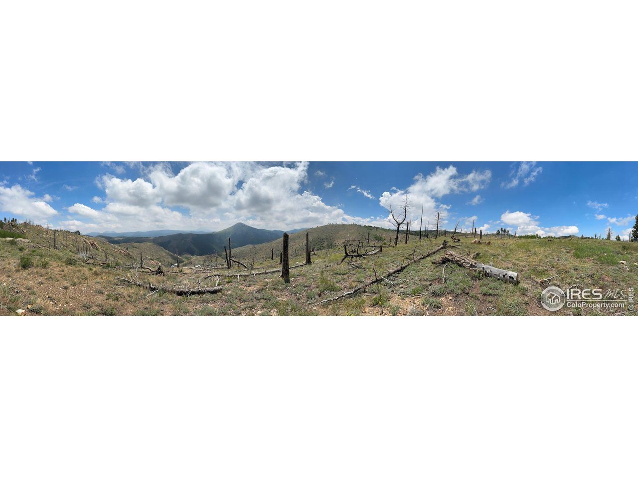 280 Rim Road Boulder, CO 80302 - Photo 16 of 29