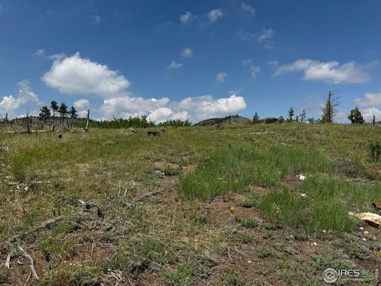 280 Rim Road Boulder, CO 80302 - Photo 18 of 29 a view of a lake