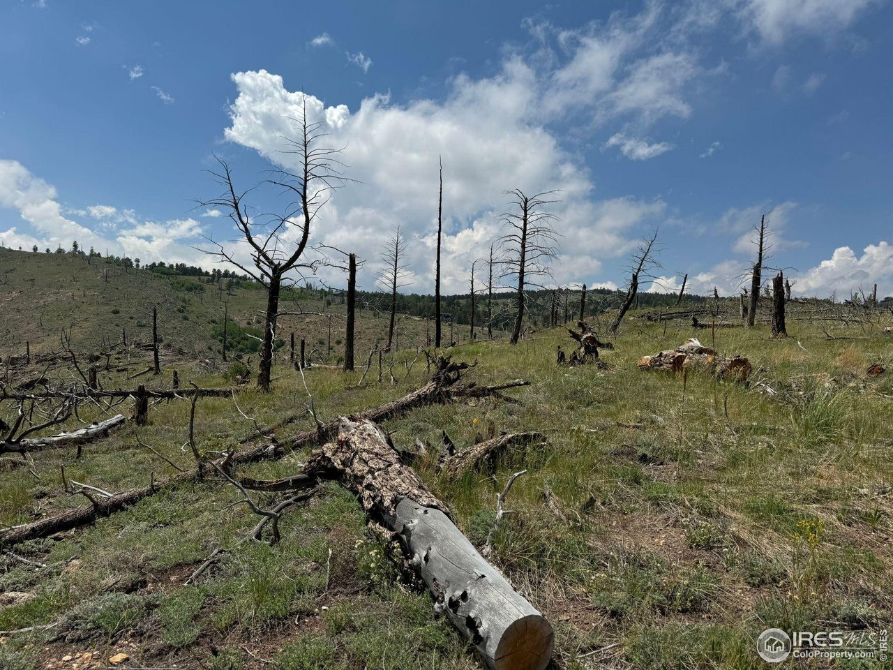 280 Rim Road Boulder, CO 80302 - Photo 19 of 29