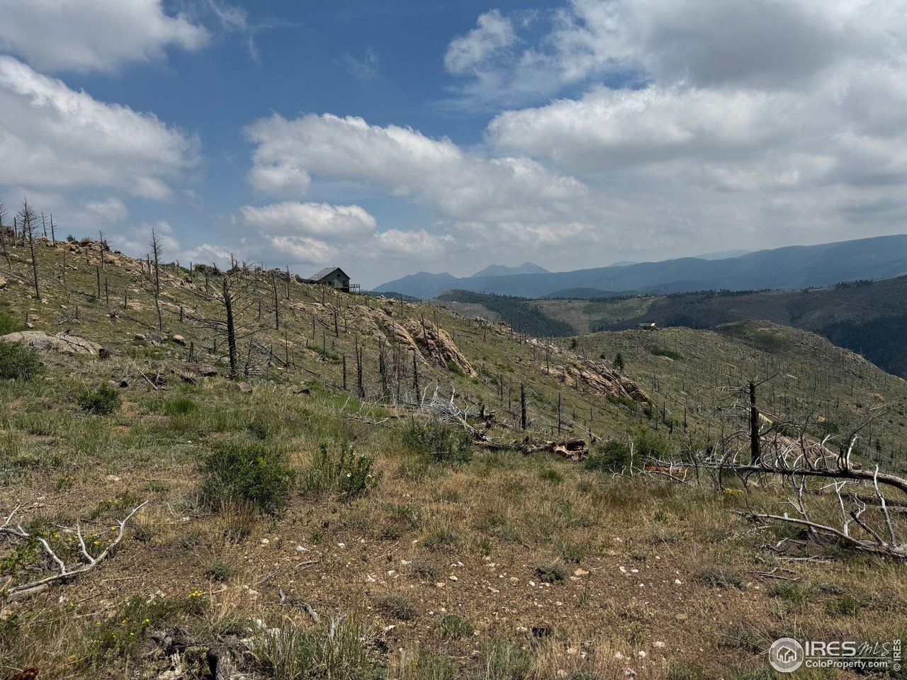 280 Rim Road Boulder, CO 80302 - Photo 22 of 29 a view of a dry yard with lots of trees