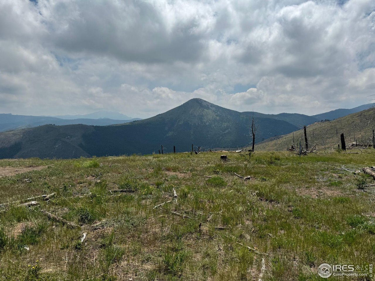 280 Rim Road Boulder, CO 80302 - Photo 24 of 29 a view of an outdoor space and mountain view