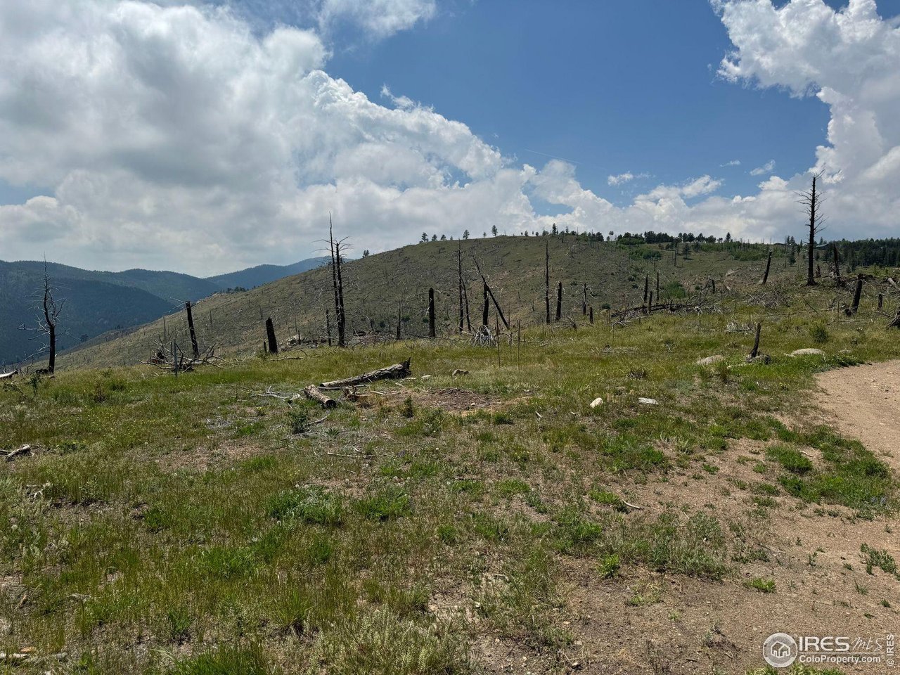 280 Rim Road Boulder, CO 80302 - Photo 25 of 29 a view of a field with an tree