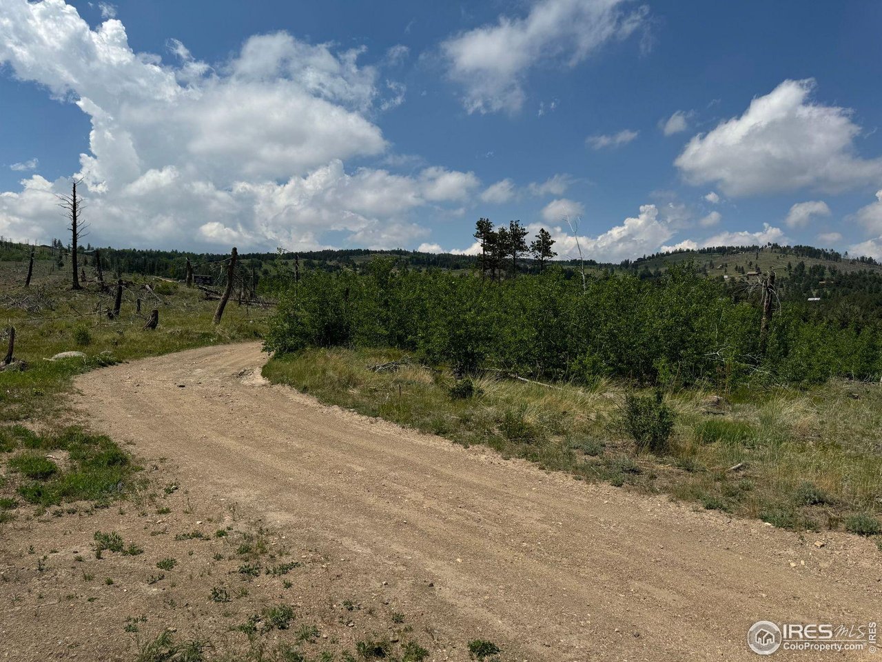 280 Rim Road Boulder, CO 80302 - Photo 26 of 29 a view of a street