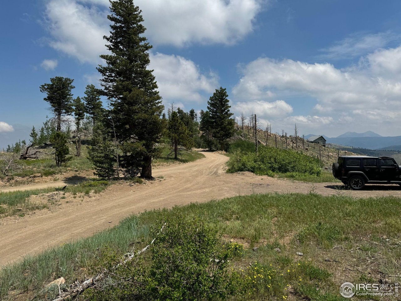 280 Rim Road Boulder, CO 80302 - Photo 29 of 29 a view of a backyard of the house