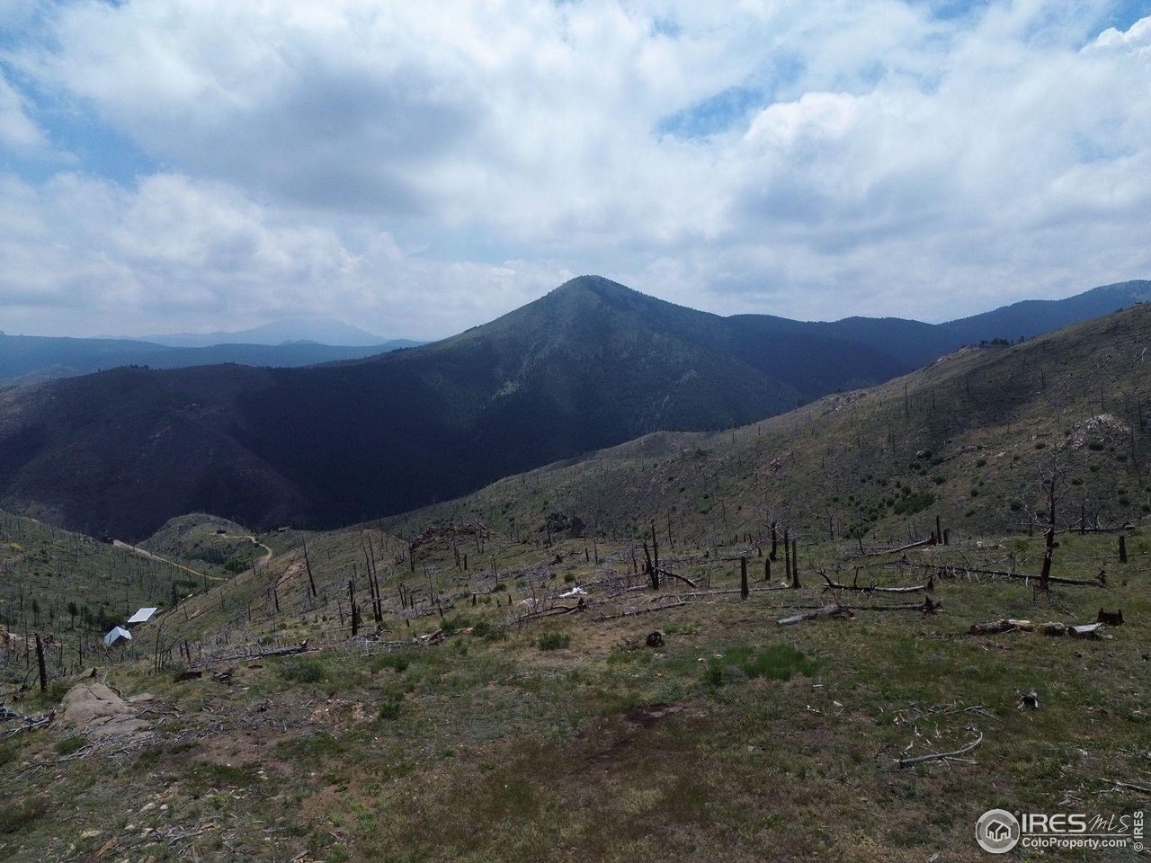280 Rim Road Boulder, CO 80302 - Photo 3 of 29 a view of a dry yard with lots of trees