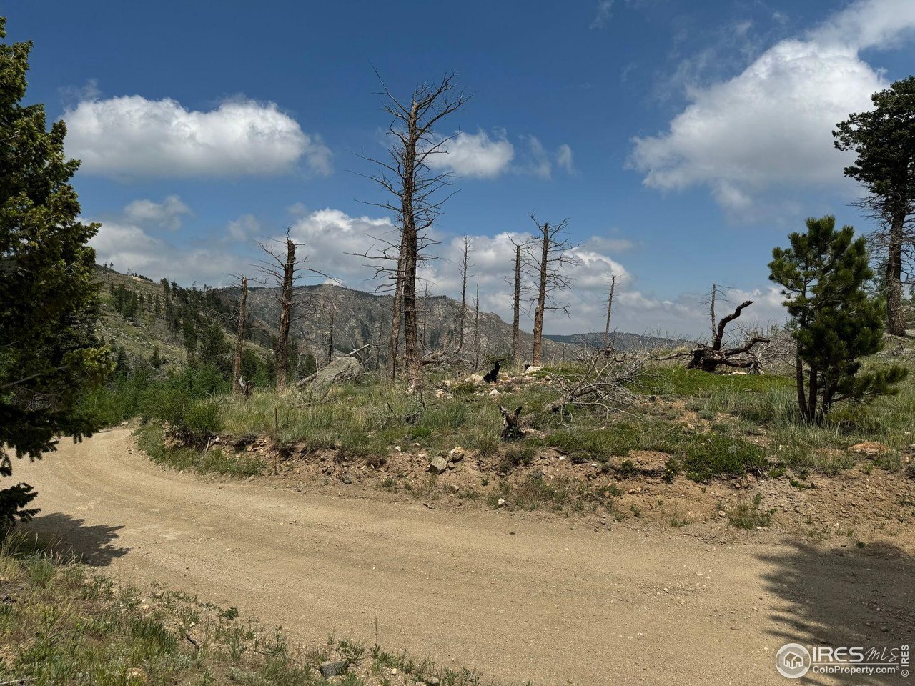 280 Rim Road Boulder, CO 80302 - Photo 6 of 29 a view of a garden