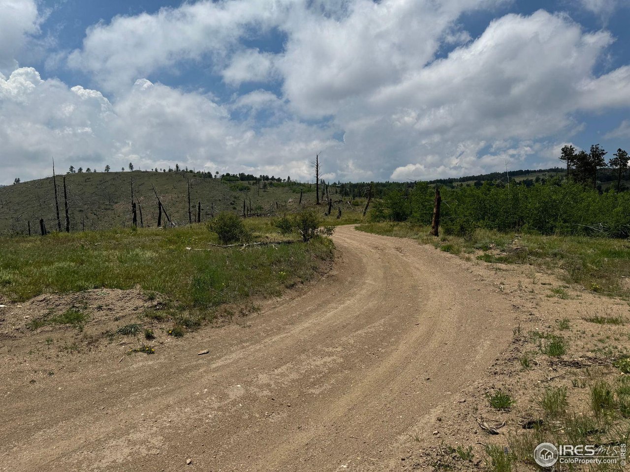 280 Rim Road Boulder, CO 80302 - Photo 8 of 29 a view of a road with a building in background