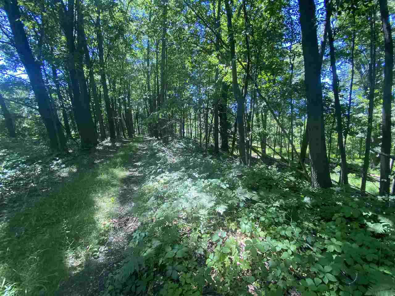 5950-1 Calhoun Road Beaverton, MI 48612 - Photo 58 of 93