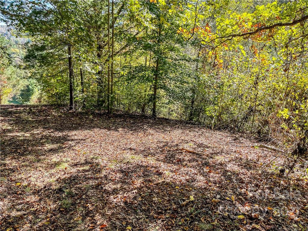 555 Boyd Road, Unit 3 Leicester, NC 28748 - Photo 11 of 20 a view of a yard with a tree