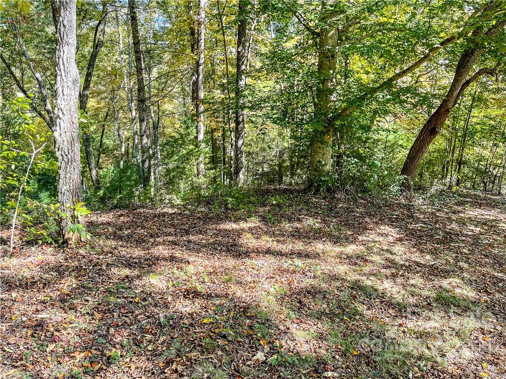 555 Boyd Road, Unit 3 Leicester, NC 28748 - Photo 12 of 20 a view of outdoor space and trees
