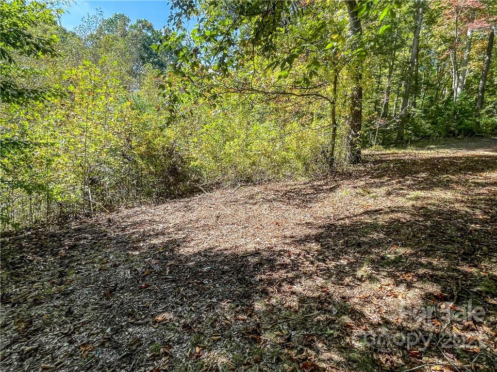 555 Boyd Road, Unit 3 Leicester, NC 28748 - Photo 13 of 20 a view of a yard with plants and trees