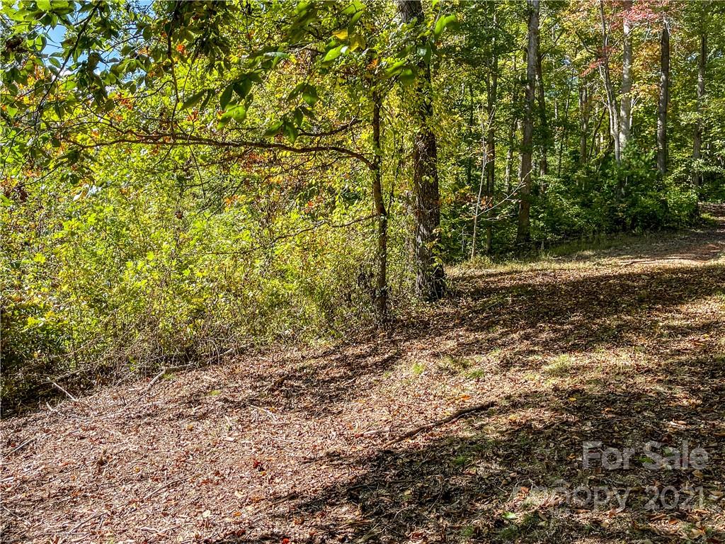 555 Boyd Road, Unit 3 Leicester, NC 28748 - Photo 14 of 20 a backyard of a house with lots of green space