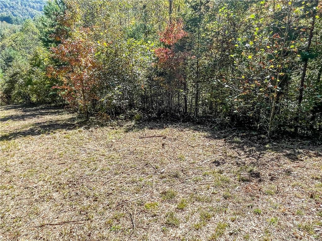 555 Boyd Road, Unit 3 Leicester, NC 28748 - Photo 15 of 20 a view of a yard with a tree