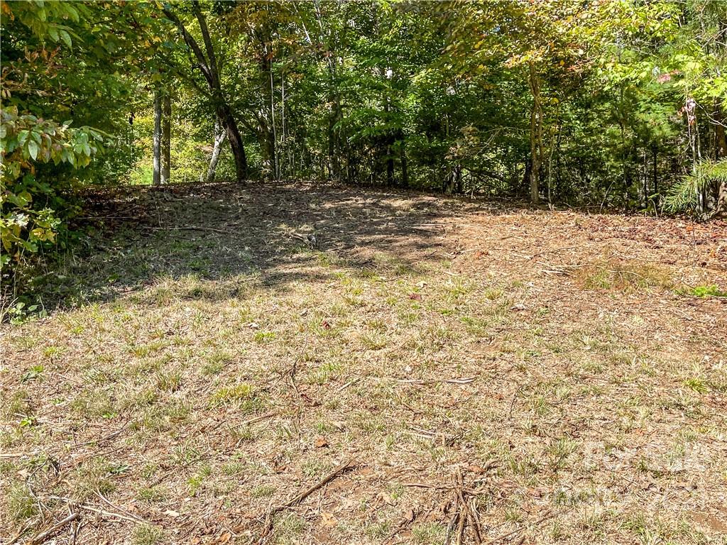 555 Boyd Road, Unit 3 Leicester, NC 28748 - Photo 16 of 20 a view of a yard with a tree